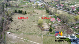 Dwa domy z ziemią rolną w Broniszowie